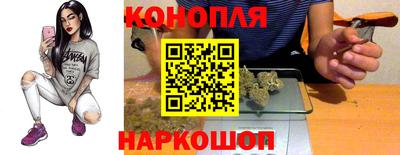 стафф Новодвинск