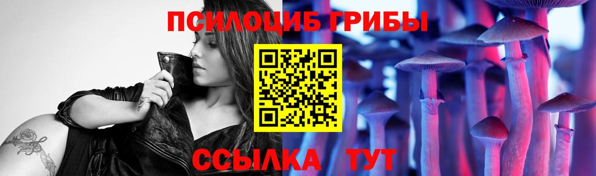 Псилоцибиновые грибы мицелий  Вход с VPN  Рузаевка 